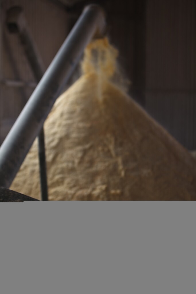 Utilização de enzimas nas rações melhora o desempenho nutricional