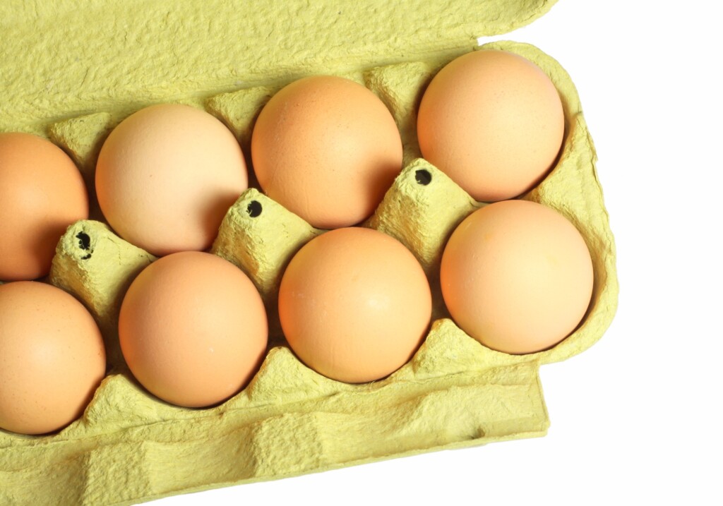 Negociações de ovos melhoram nesta segunda quinzena, segundo Cepea