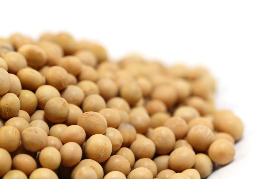 RS está próxima de concluir colheita da safra de soja 2022/23