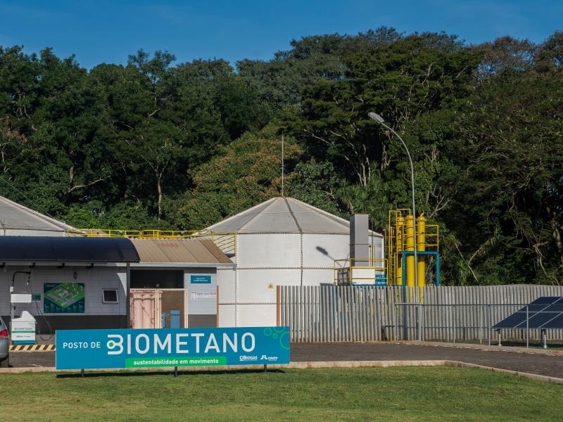 CIBiogás apresenta Nova Técnica – Panorama do Biogás no Brasil na AveSui 2021