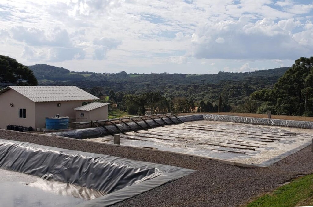 Dia de campo em Videira/SC aborda tratamento de efluentes da suinocultura