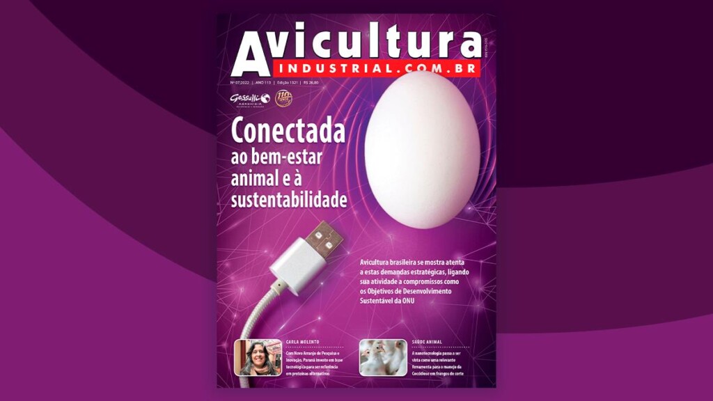 Avicultura brasileira conectada ao bem-estar animal e à sustentabilidade