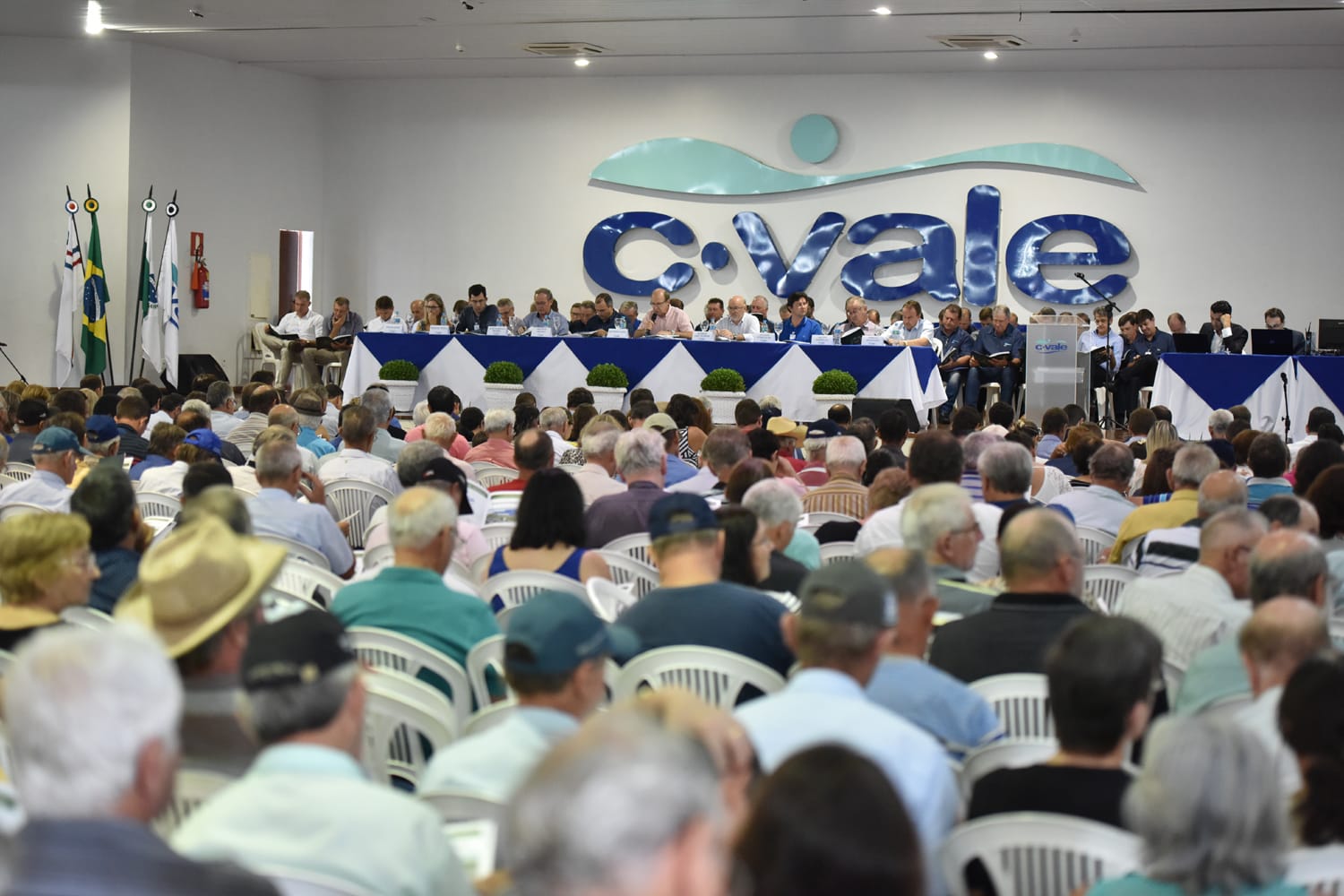 Produção de suínos da C.Vale cresce em 2018