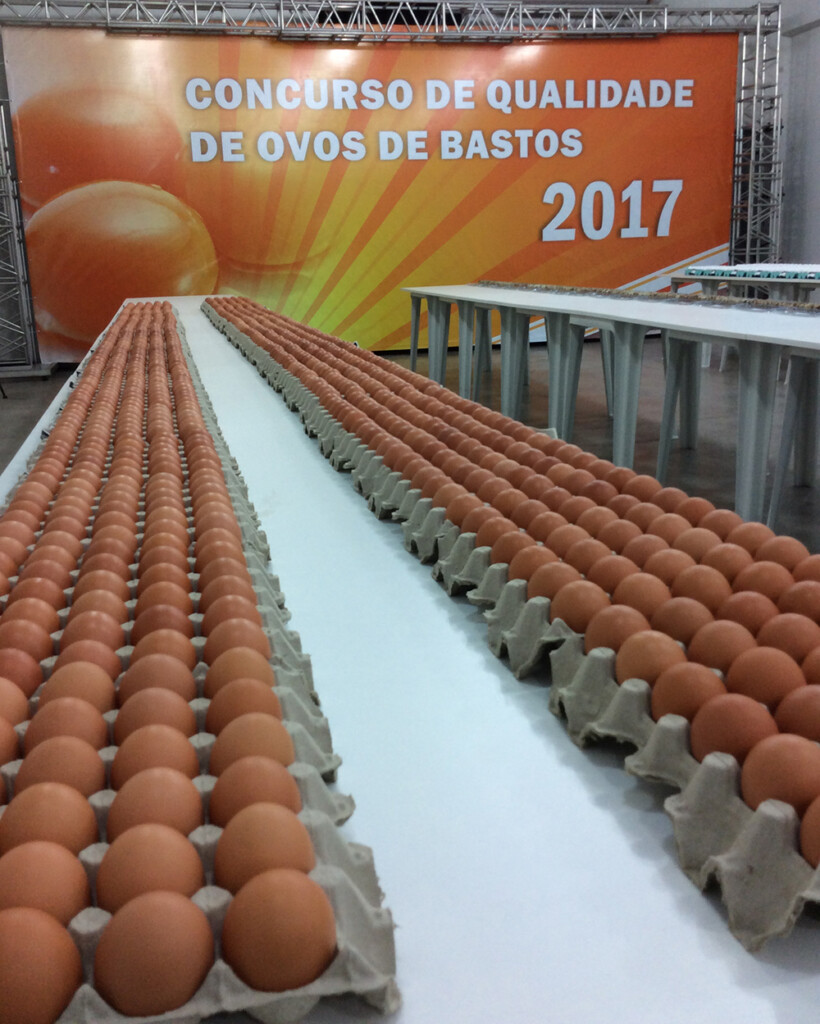 Comissão divulga o regulamento 2018 do Concurso de Qualidade de Ovos