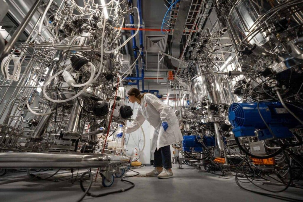 Empresa israelí abre la primera fábrica de carne cultivada del mundo