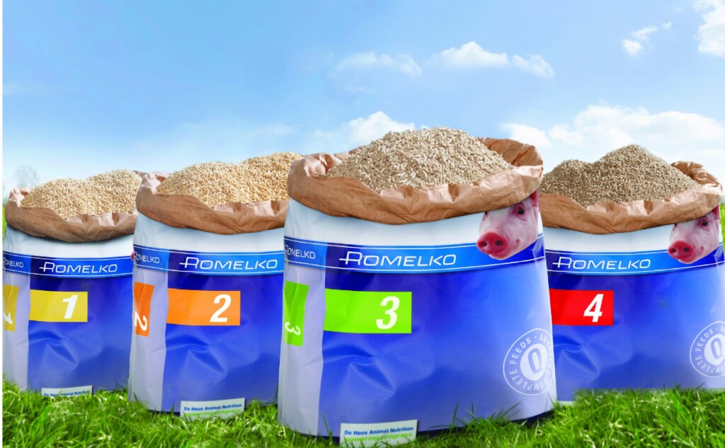 Romelko: Primeira solução nutricional all-in-one de leitões na maternidade e creche