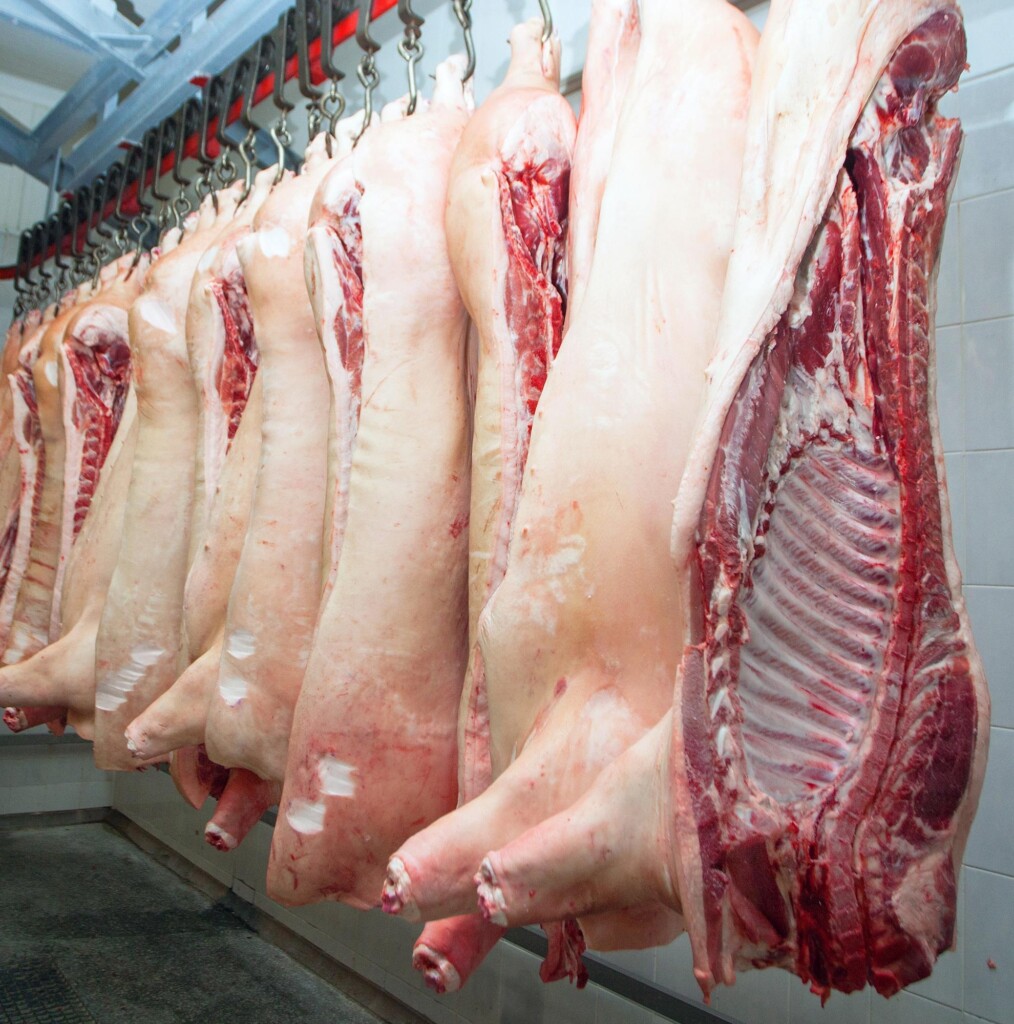 Exportações de carne suína atingem novo recorde