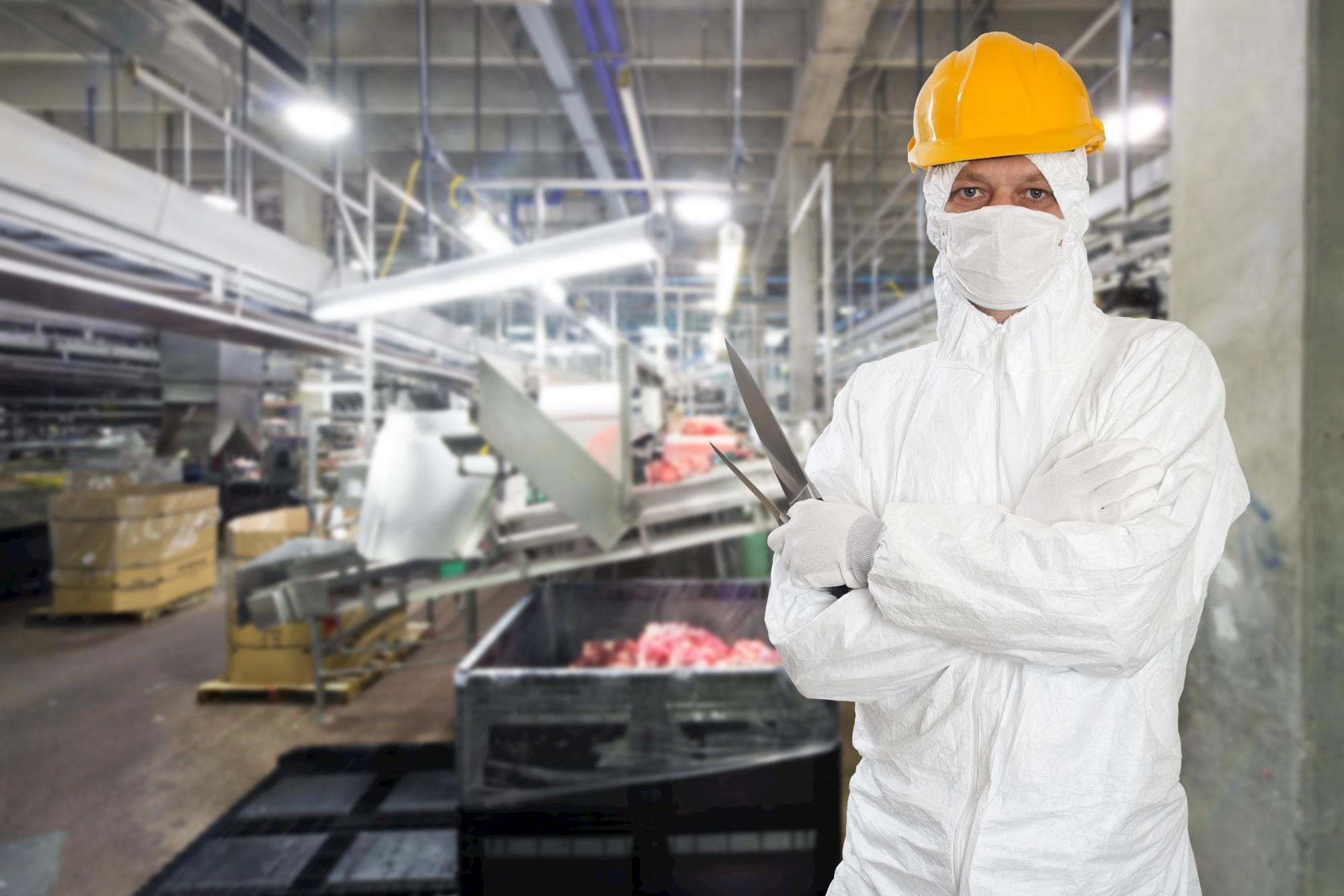 Secretário de Agricultura dos EUA apoia investigação antitruste sobre frigoríficos
