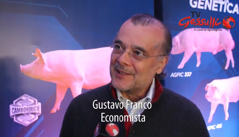 Eleições não devem trazer surpresa na economia, avalia Gustavo Franco