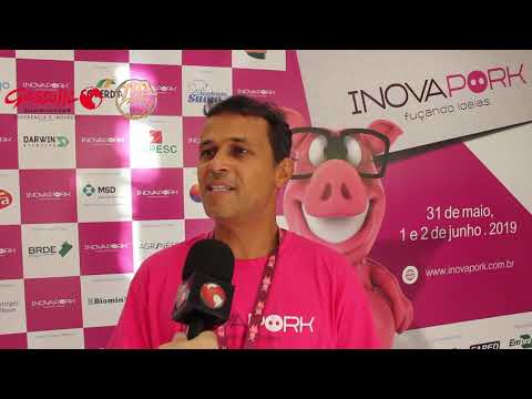 Conheça o Investimentos Anjo que investe em Startups