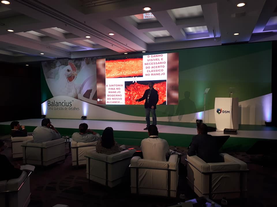 DSM e Novozymes lançam o Balancius