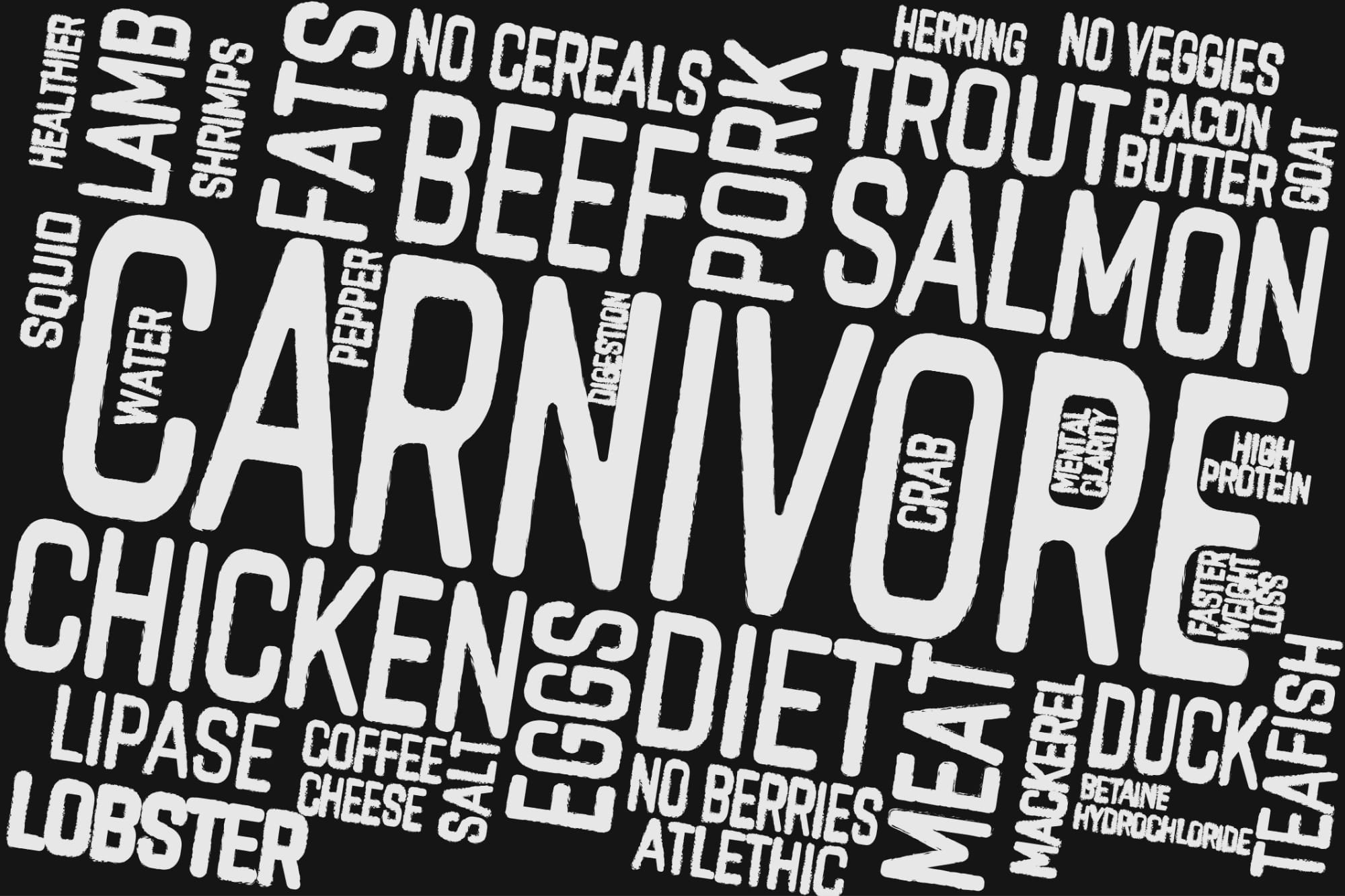 A semelhança entre a anatomia humana e a dos animais carnívoros