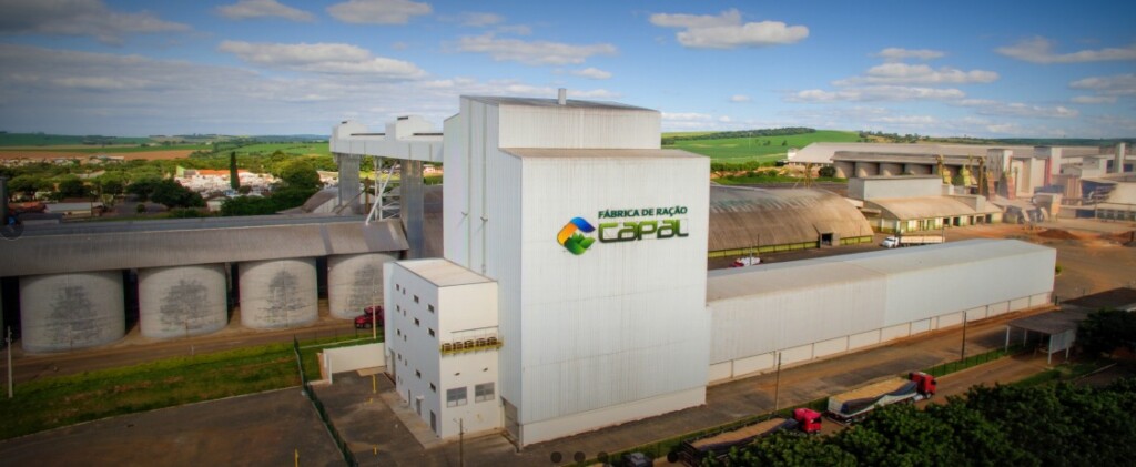 Capal cresceu 18% no ano passado em melhor resultado da história