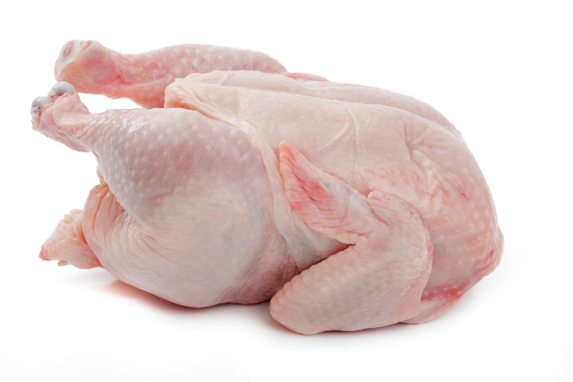 Polônia continua a enfrentar problemas com Salmonella
