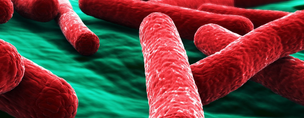 Casos de fraudes por salmonelas não afetam consumidor