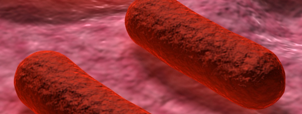 Entra em vigor na UE legislação que bane uso indiscriminado de antibióticos e estimula o bem-estar animal