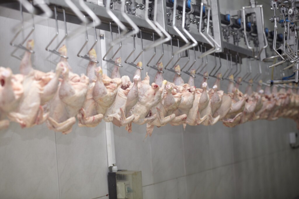 Exportações de frango crescem 3,4% no ano