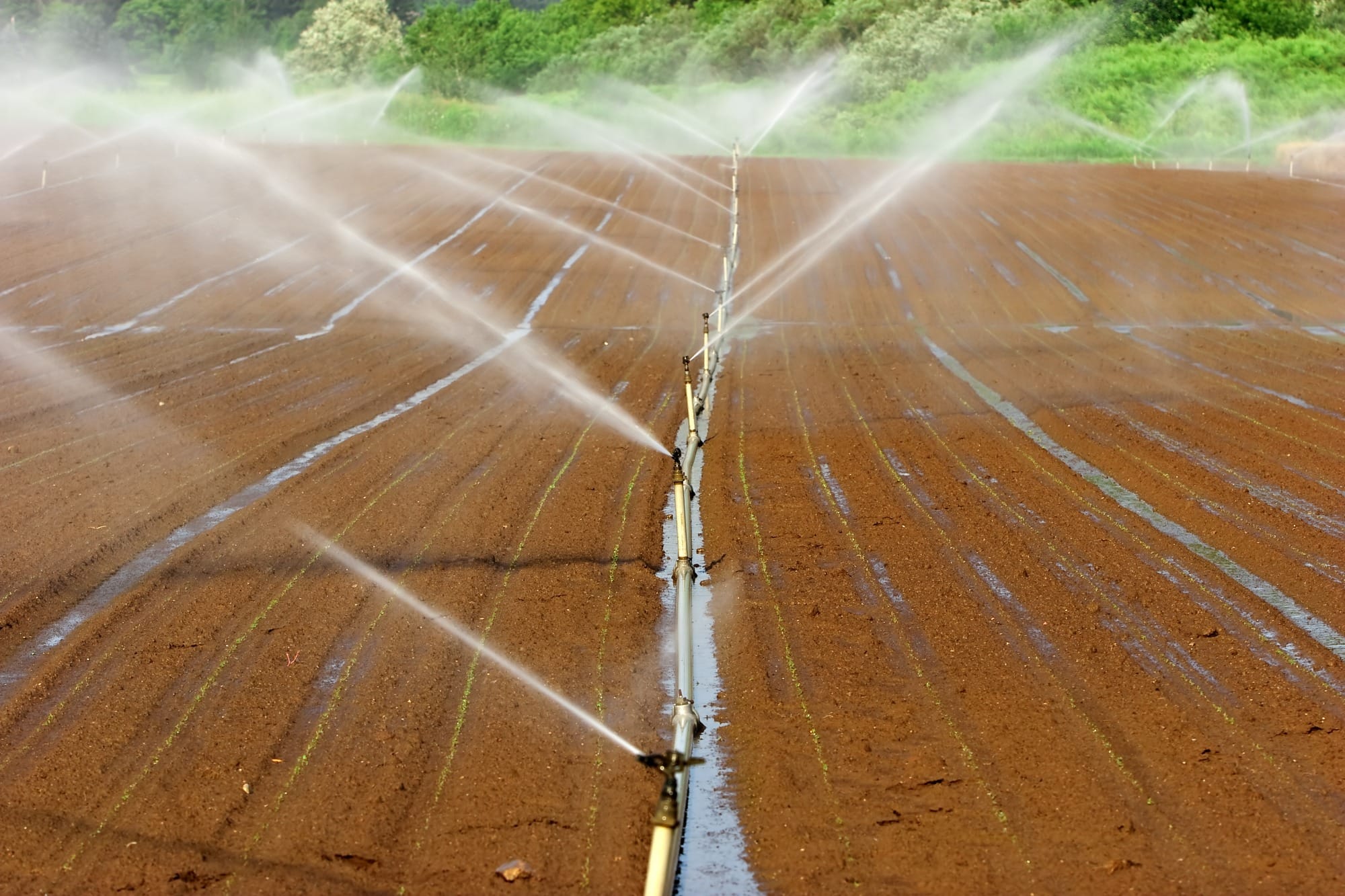 Com projetos de energia rural, RenovaPR leva sustentabilidade ao campo