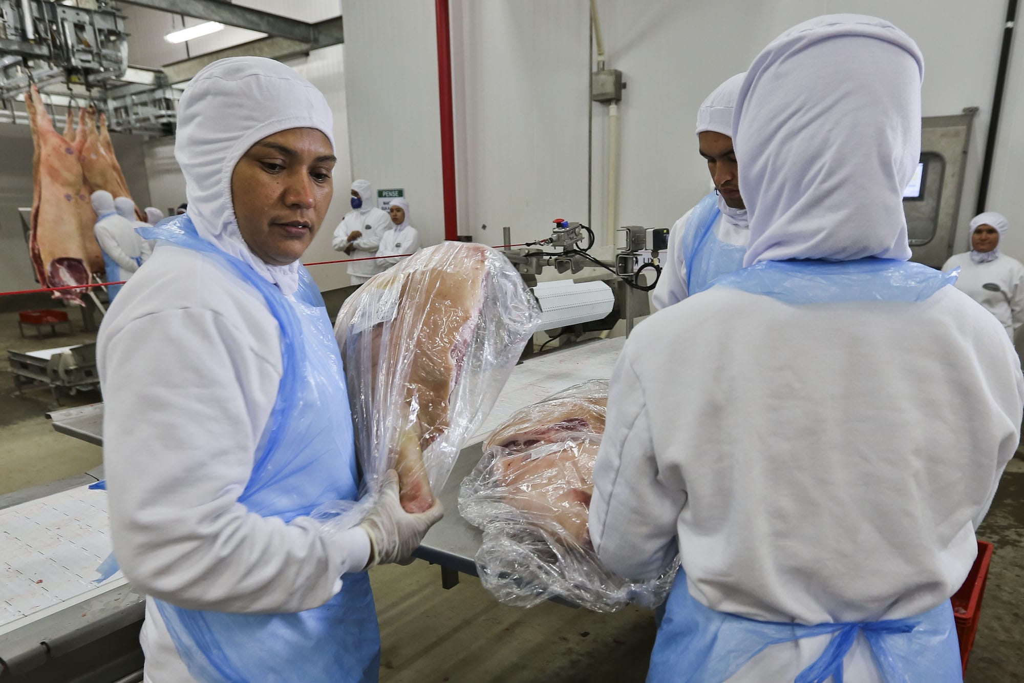 Acre é autorizado a exportar carne suína para o Peru Acre é autorizado a exportar carne suína para o Peru