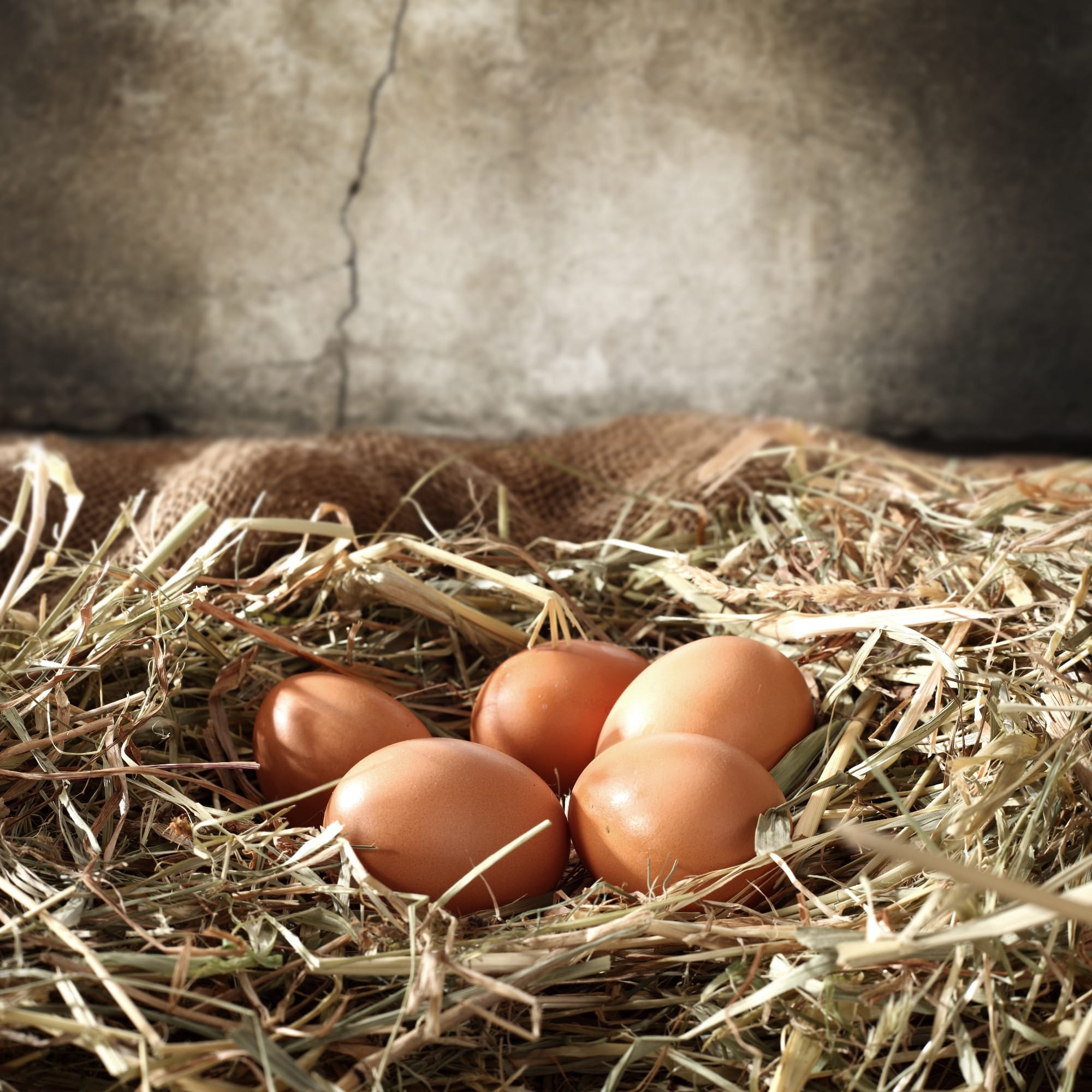 Ovos sustentáveis e o futuro da indústria de alimentos