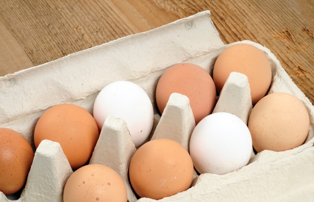 Valor do ovo vermelho tem alta sobre o ovo branco nesta semana