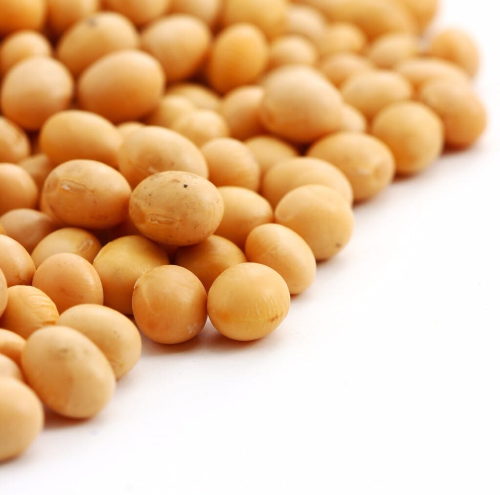 Aprosoja Minas Gerais será lançada em evento em Uberaba