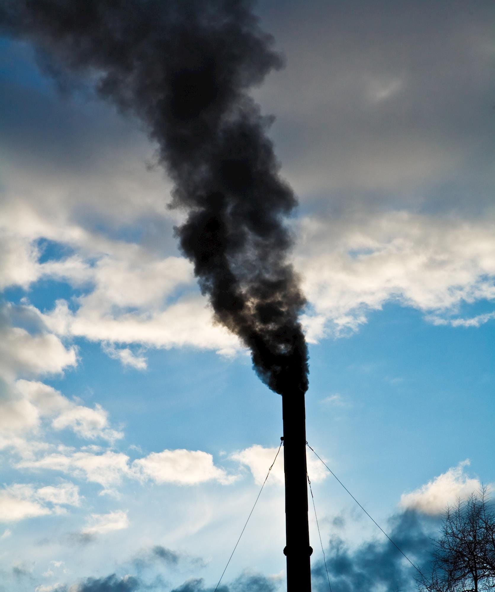 Líderes empresariais devem estabelecer metas de clima mais ambiciosas
