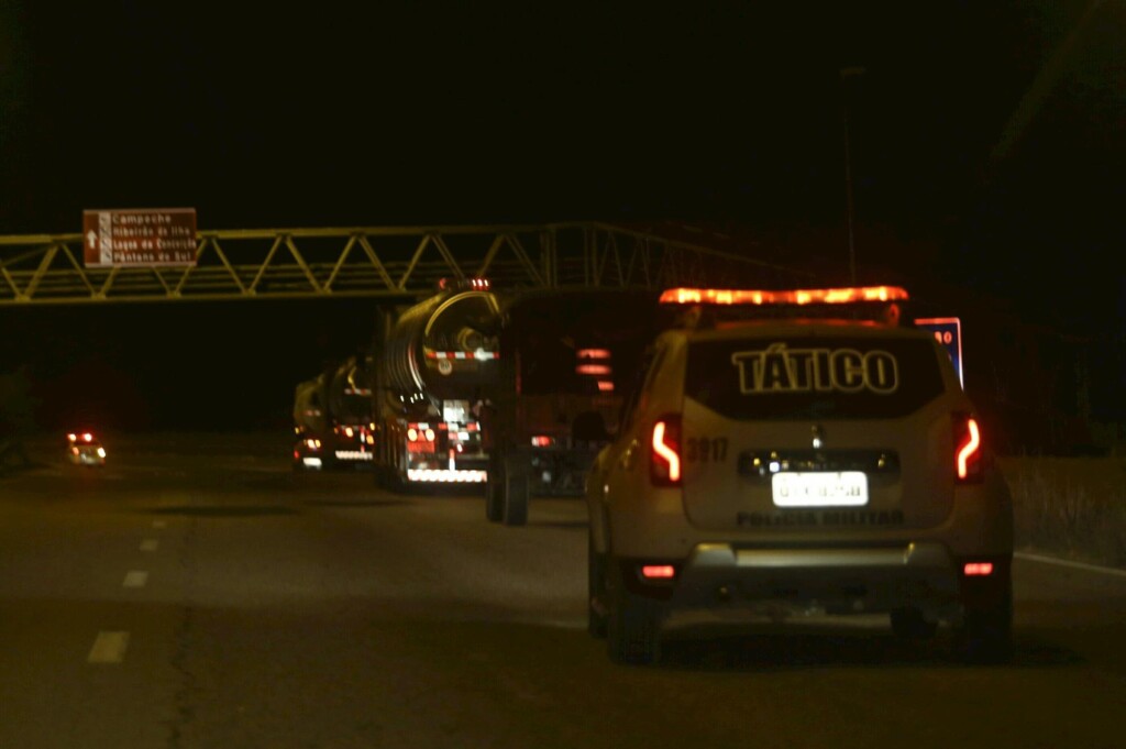 Santa Catarina não registra morte de animais por inanição