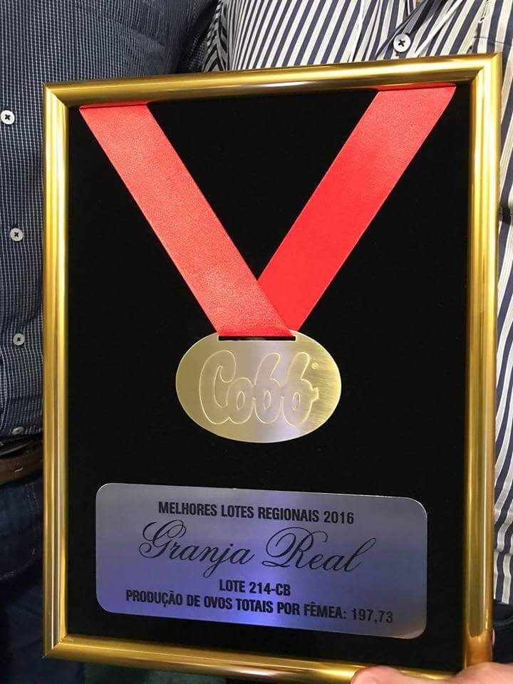 Ampla produção de ovos garante prêmio de reconhecimento a uma das maiores granjas do Paraná