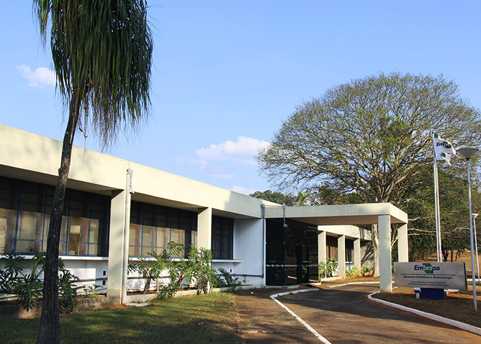 Embrapa é única brasileira entre maiores depositantes de patentes em biotecnologia agropecuária