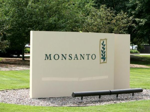 Monsanto anuncia parceria com startups brasileiras