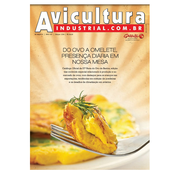 Do ovo a omelete, presença diária em nossa mesa