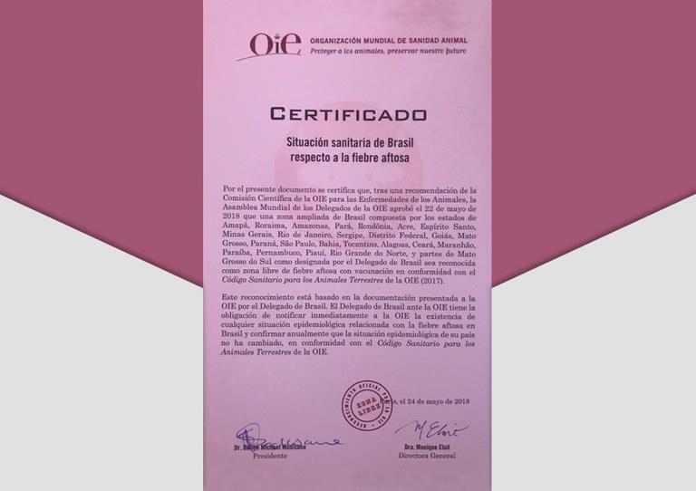 Brasil recebe na OIE certificado de livre da aftosa com vacinação