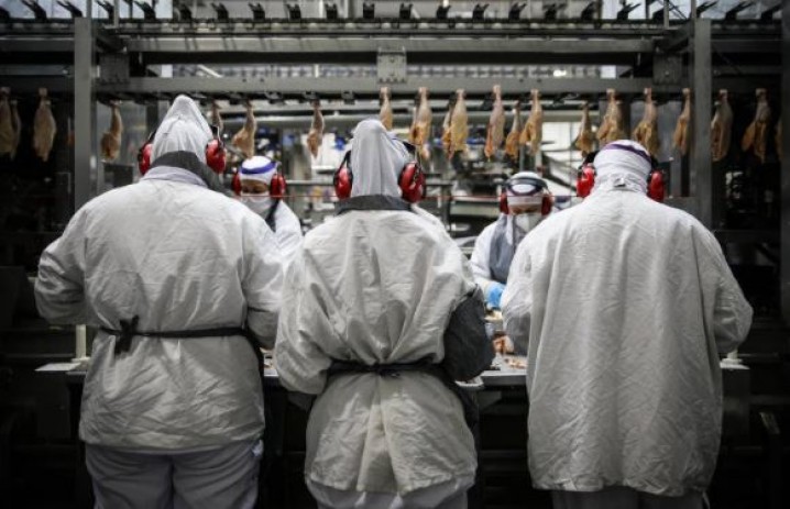 Cooperativas faturam R$ 10 bi e exportam para McDonald’s europeu