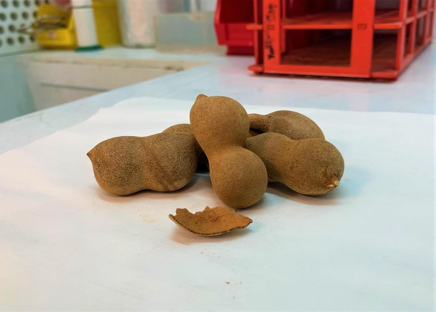 Cientistas transformam casca de tamarindo em combustível para veículos