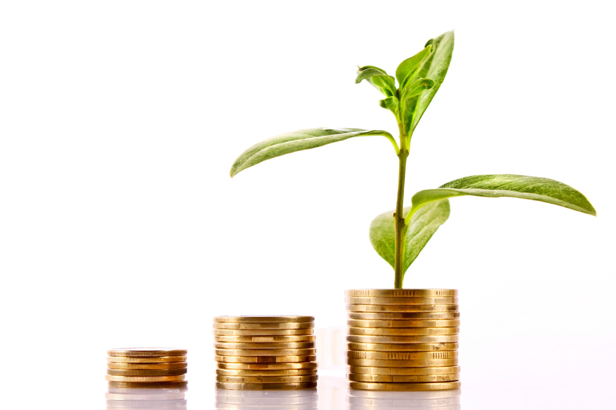 Cooperativa de crédito disponibiliza R$ 20,1 bilhões para o Plano Safra 2019/2020 Cooperativa de crédito disponibiliza R$ 20,1 bilhões para o Plano Safra 2019/2020