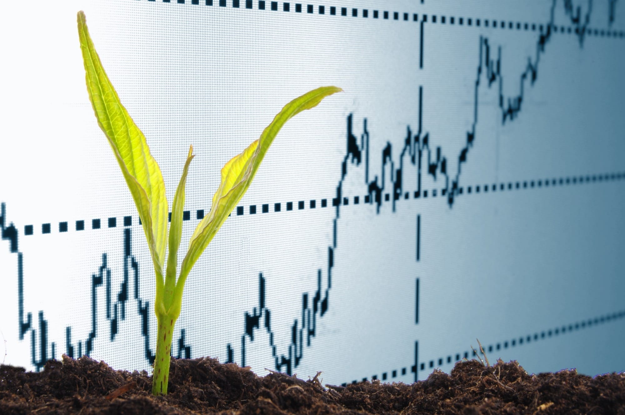 Agronegócio brasileiro deve crescer 3,17% neste ano, diz Cepea Agronegócio brasileiro deve crescer 3,17% neste ano, diz Cepea