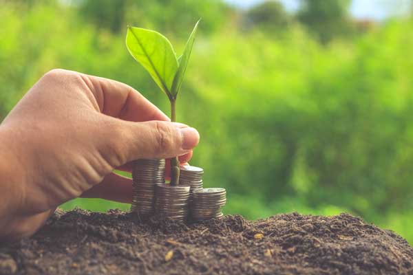 PIB do agronegócio recua 0,8% no primeiro trimestre em relação ao mesmo período de 2021