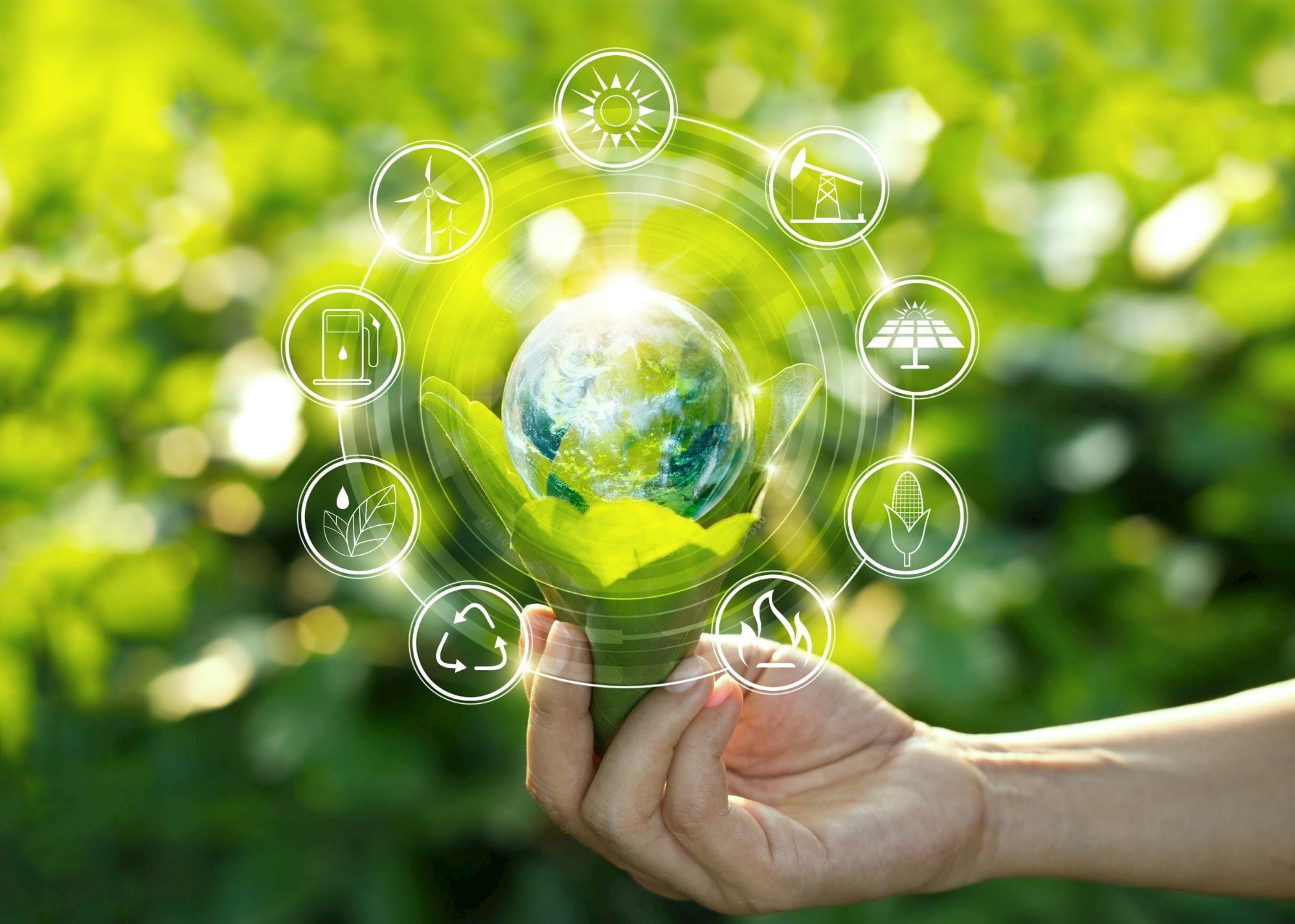 CNI defende bioeconomia para estimular produção e inovação no país
