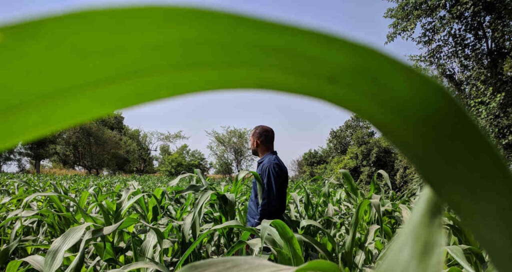 UE pode permitir que agricultores usem terras enquanto guerra na Ucrânia atinge oferta de grãos