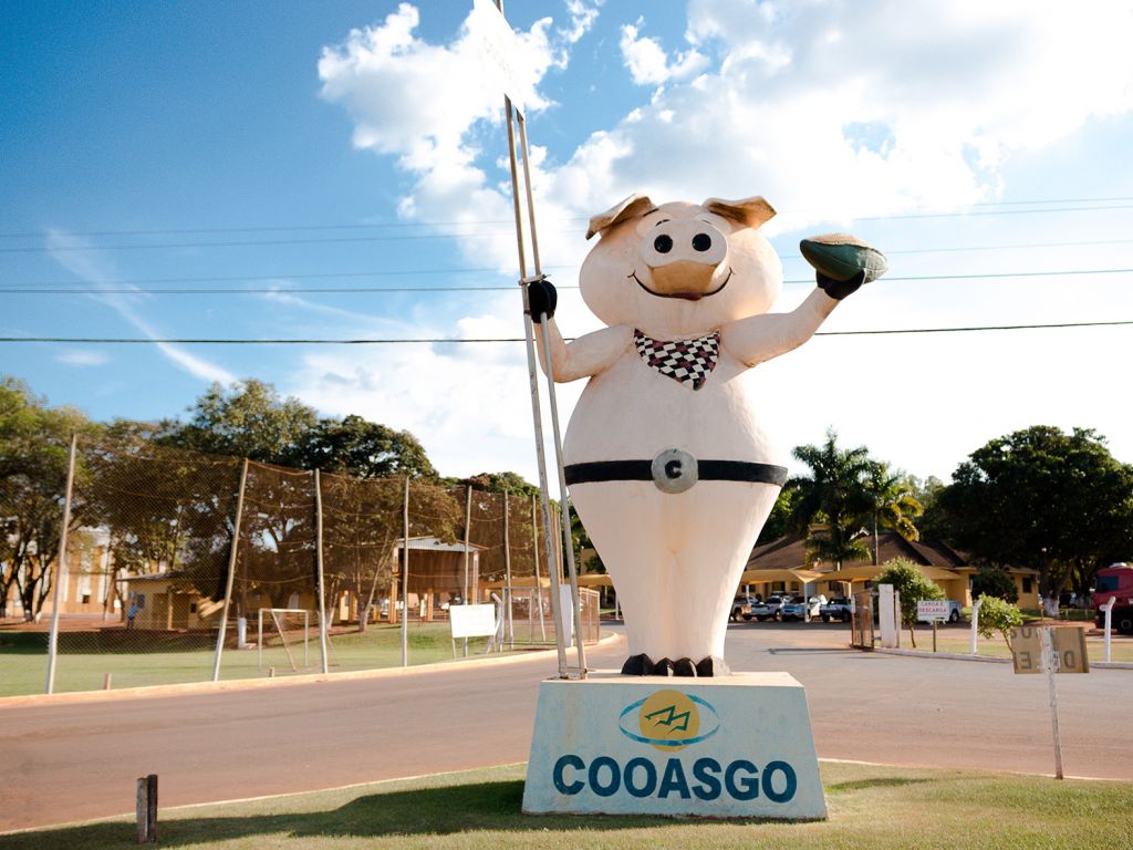 Cooperativa investe R$ 44,9 milhões para ampliar produção de suínos