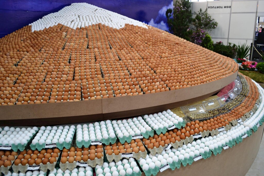 61ª Festa do Ovo de Bastos é cancelada