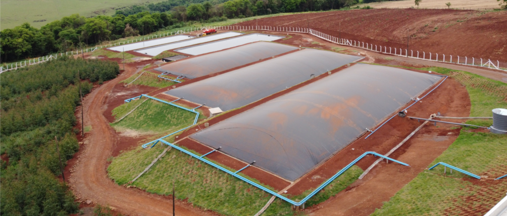 Geração de Energia com Biogás no Webinar sobre Biogás na AveSui Online