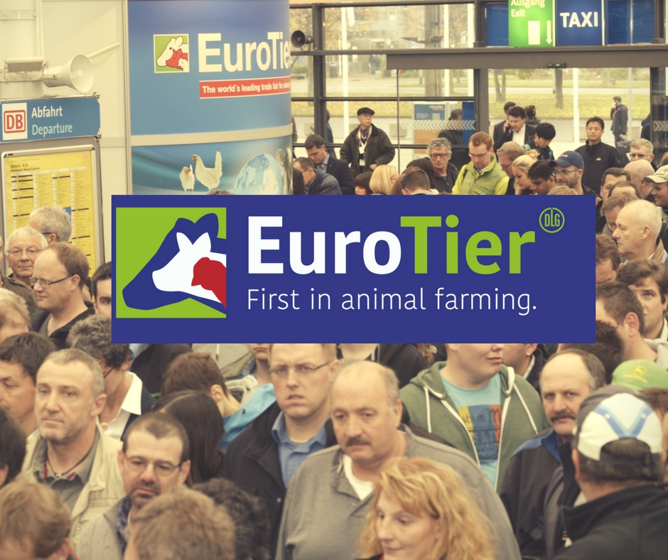 Maior feira de produção animal da Europa busca parcerias estratégicas na AveSui 2018
