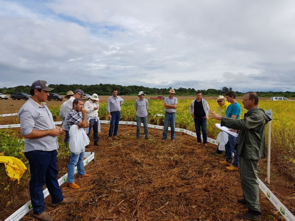 Cooperativa investe em pesquisas de perfil de solo em Tocantins
