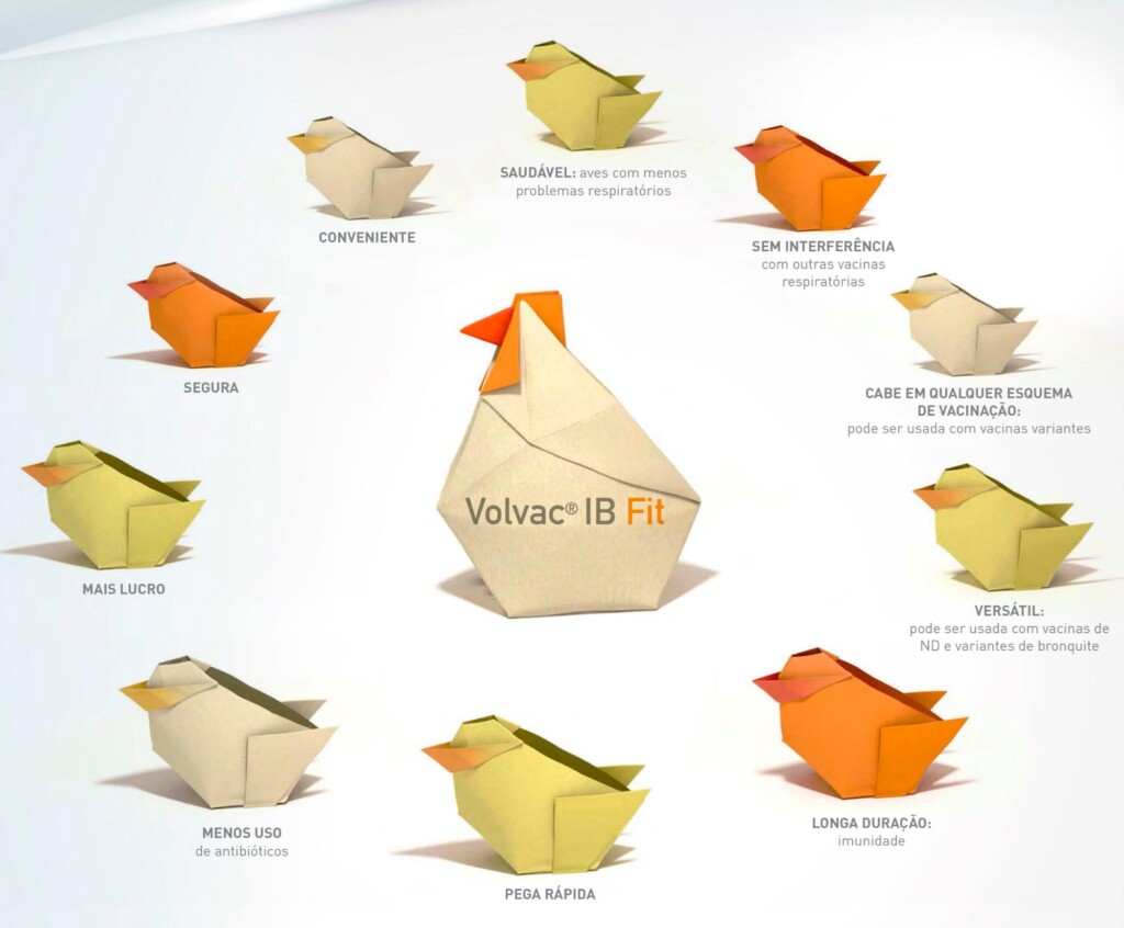 Boehringer Ingelheim Saúde Animal lança vacina para bronquite infecciosa em aves no Brasil