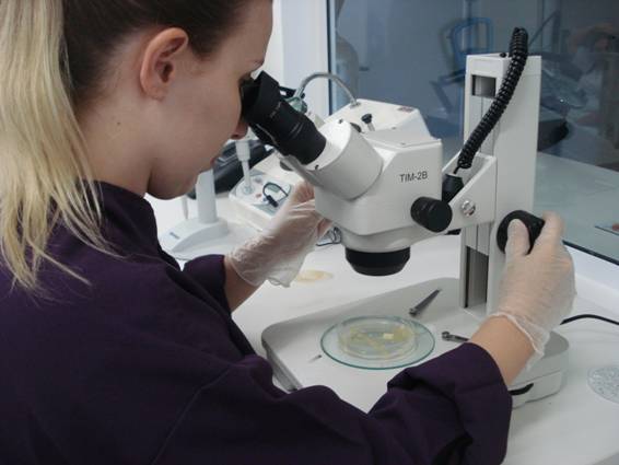 Cobb-Vantress possui laboratório próprio para controle interno de qualidade