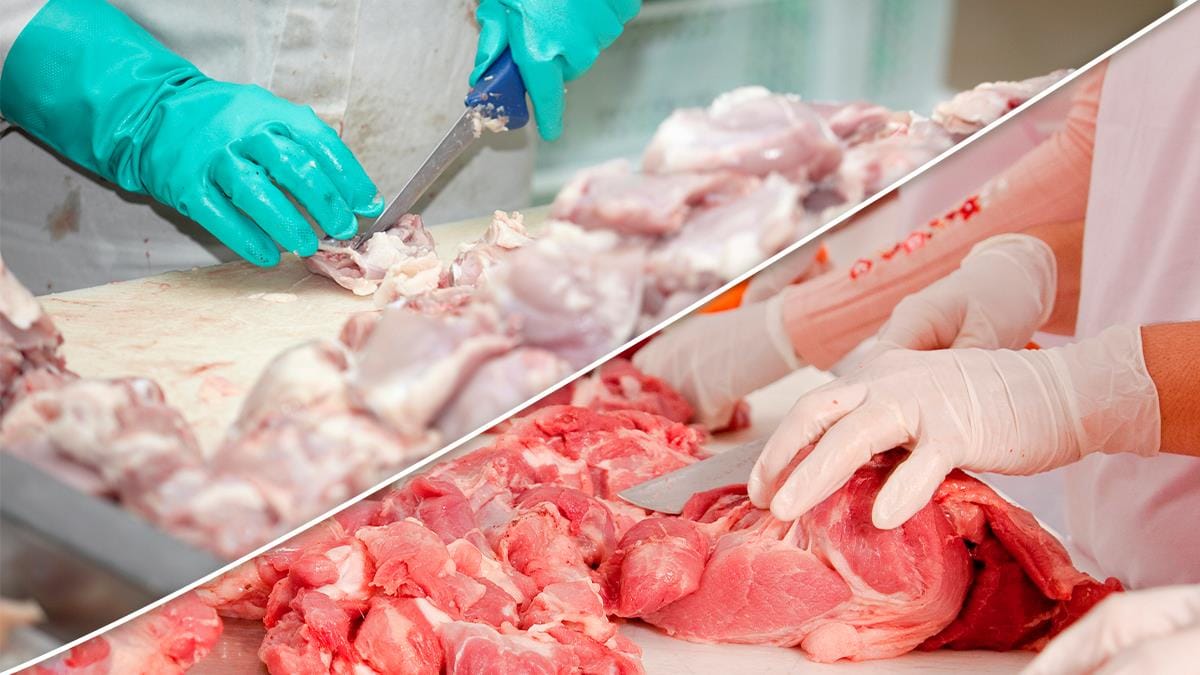 Paraná bate novo recorde trimestral na produção de frango e tem aumento no abate de suínos