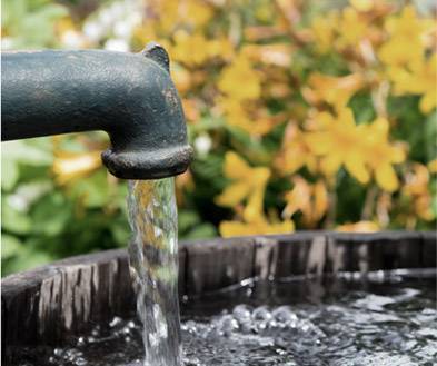 Bombeamento de água com energia solar traz inúmeros benefícios para pecuaristas