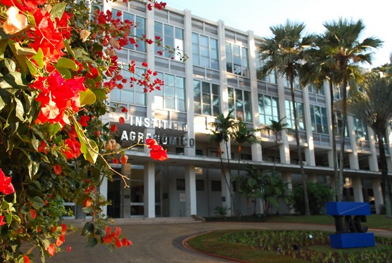 Instituto Agronômico comemora 130 anos de inovação em favor da agricultura